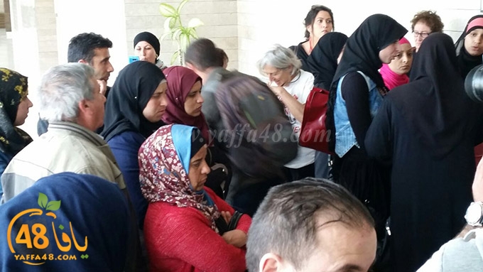 dawabsha ludja (2).jpg